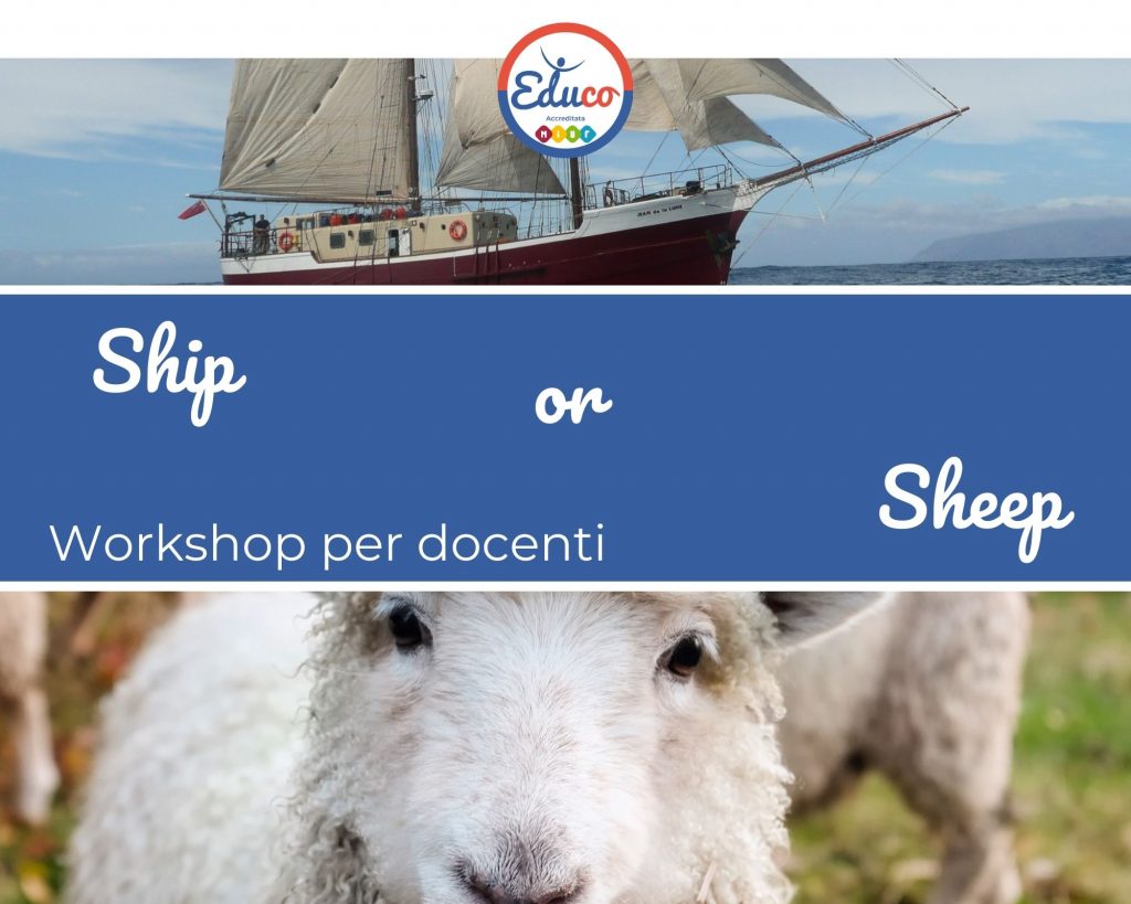 ship or sheep workshop per docenti